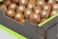 Kiwi Package 6